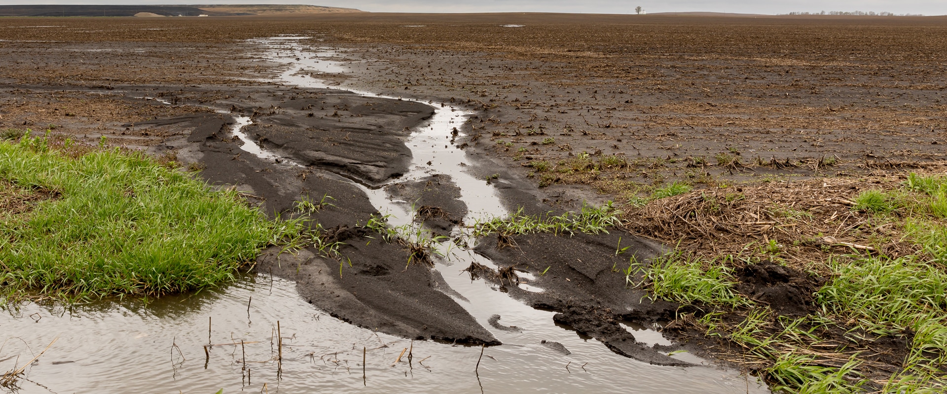 Treating Soil and Water Sources