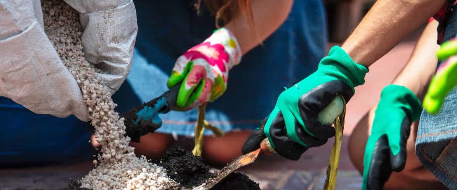 Understanding Soil Amendments: A Guide to Improve Your Bonsai Soil