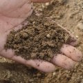 Soil Mixtures – Understanding the Basics