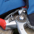 Pruning Tools: A Comprehensive Overview