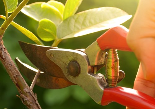 Proper Pruning Techniques