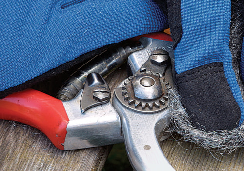 Pruning Tools: A Comprehensive Overview